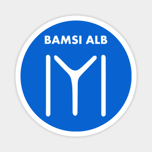 Bamsi Alb Kayi Flag Ertugrul Bey Kurulus Osman Drillis Ottoman Empire Turkey Istanbul Gift Magnet